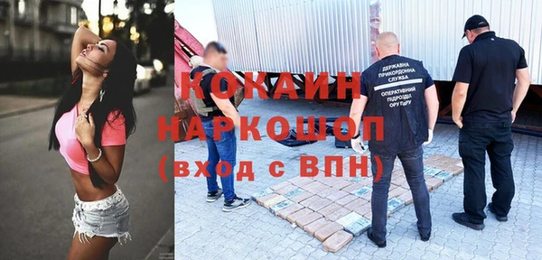 СК Алзамай