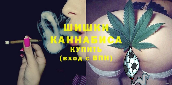 СК Алзамай