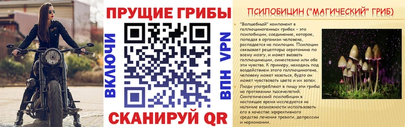 закладка Краснознаменск Галлюциногенные грибы мухоморы