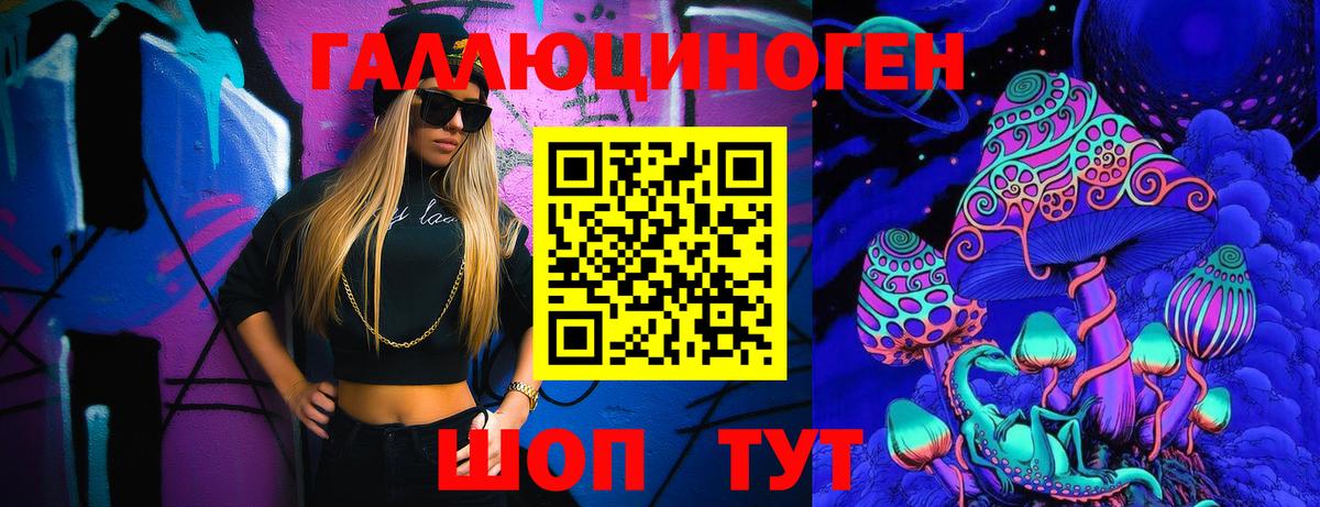 купить закладку  Вход с VPN  Краснознаменск  Псилоцибиновые грибы GOLDEN TEACHER 